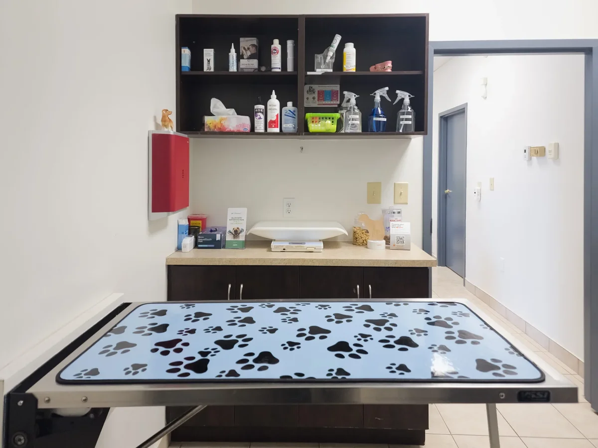 Broadway Animal Hospital Facility - Image 14
