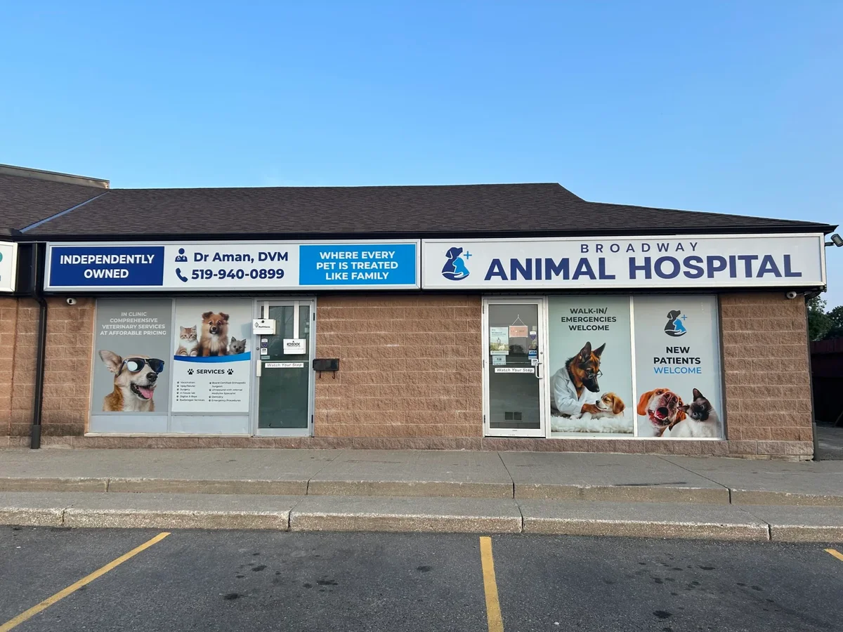 Broadway Animal Hospital Facility - Image 15
