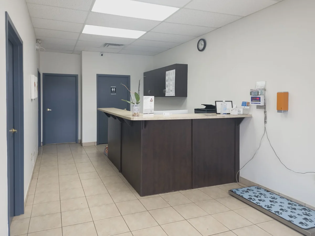 Broadway Animal Hospital Facility - Image 2