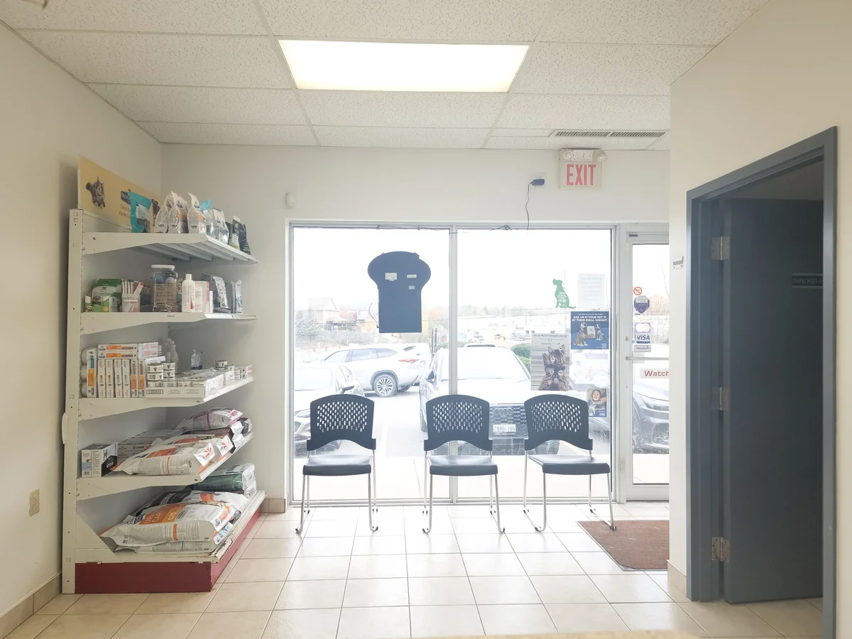 Broadway Animal Hospital Facility - Image 3