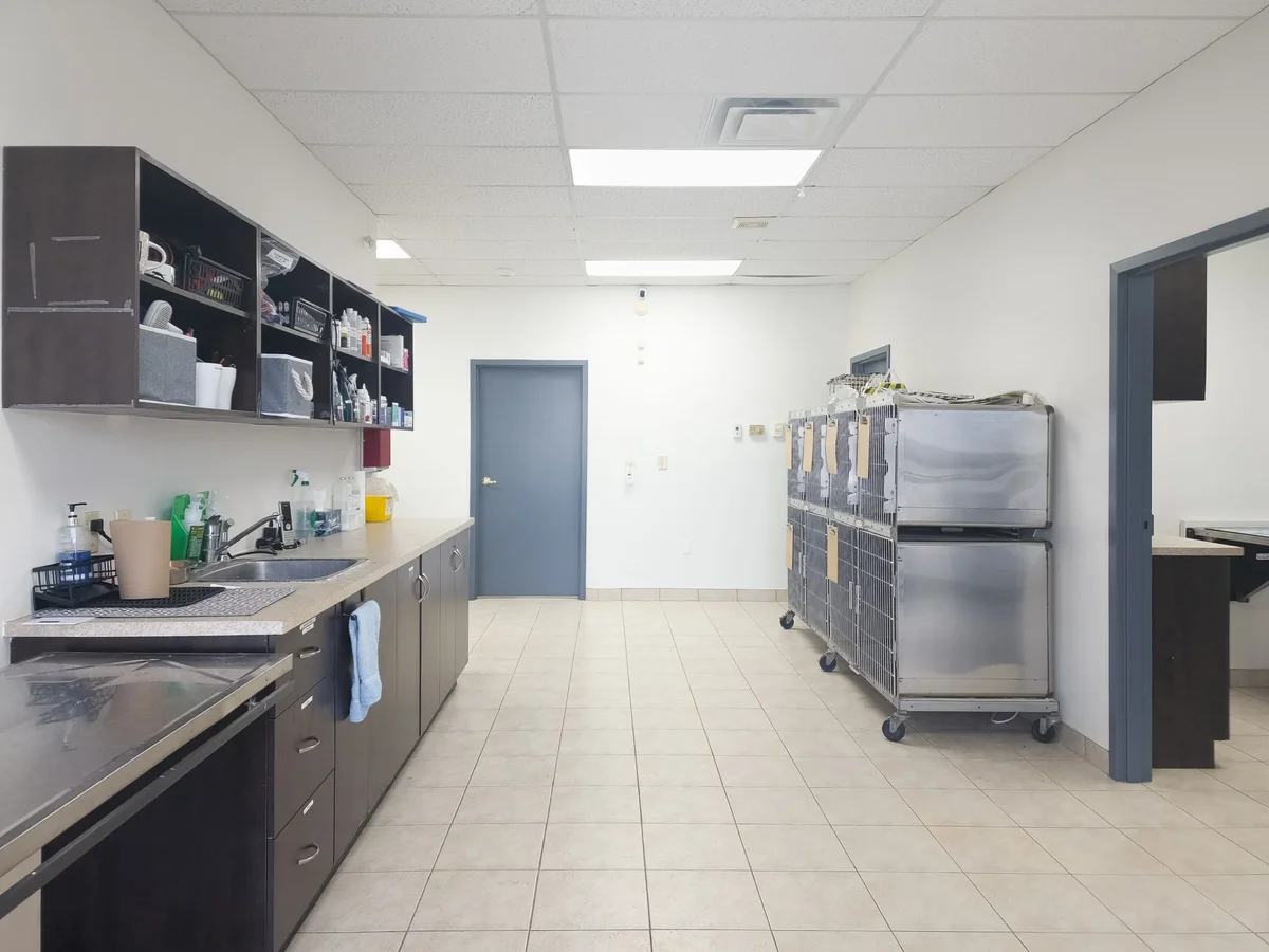 Broadway Animal Hospital Facility - Image 5
