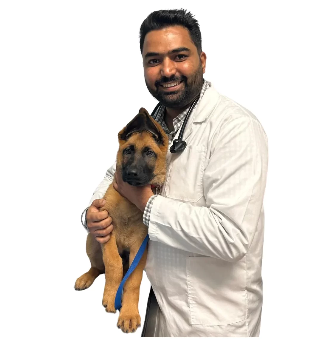 Dr. Aman Brar holding a German Shepherd